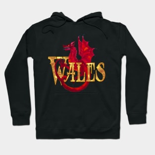 WALES RED DRAIG Hoodie